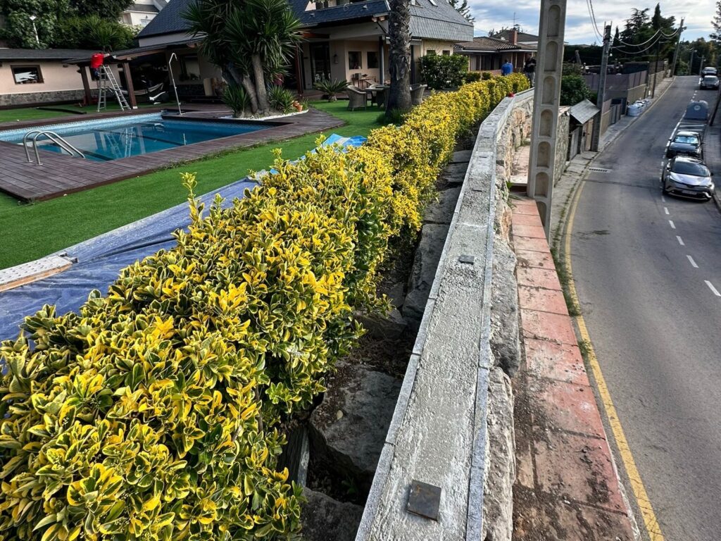 En este proyecto exterior realizado para Santiago en su vivienda de Pallejà, el objetivo era claro: mejorar la seguridad, funcionalidad y estética del acceso y el perímetro del jardín. Trabajamos con una combinación de soluciones duraderas y materiales de alta calidad para conseguir un resultado equilibrado y práctico.